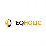 TeqHolic logo
