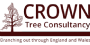 Crown Tree Consultancy logo