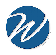 The Write Company logo