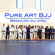 Pure Art BJJ Brazilian Jiu-Jitsu - Martial Arts logo