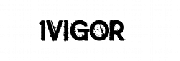 1VIGOR - Copley logo