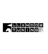 Llandow Tuning logo