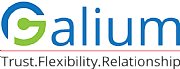Agellum Ltd logo