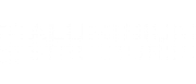 Aluminium Structures (Work Platforms) Ltd logo