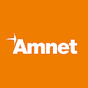 Amnet Systems LLC logo