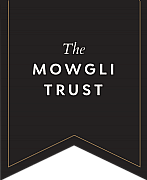 Amogli Ltd logo