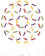 AMZURI CONSULTING LTD logo