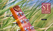 Anderwood Guitars Ltd logo