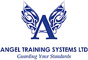 Angel Systems Ltd logo