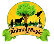 Animal Magic Pony Parties Ltd logo