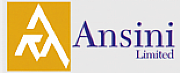 Ansini Ltd logo