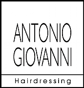 Antonio Palladino Ltd logo