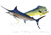 ARANATHA FISHING Ltd logo