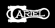 Ariel Industrial Ltd logo