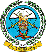 Army Parachute Association logo