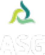 ASG Software Solutions logo