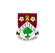 Ashville Foundation logo