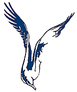 Avelec Ltd logo