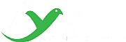AYN SERVICES LTD logo