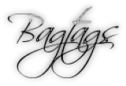 BagTags logo
