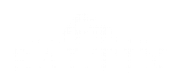 Baltix Construction Ltd logo