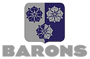Barons Voice & Data Ltd logo