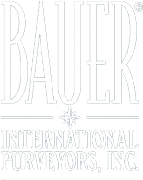 Bauer Displays Ltd logo