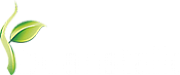 Beanstalk Marketing Services Ltd logo