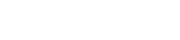 BenSky logo