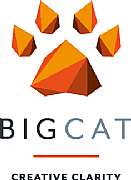 Big Cat Ltd logo