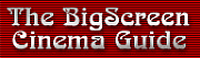 Big Screen logo