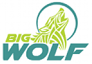 Big Wolf Marketing logo