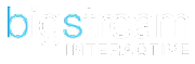 Bigstream Ltd logo