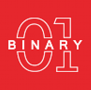 Binary One Ltd logo