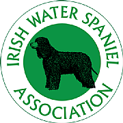 Birmingham Irish Association logo