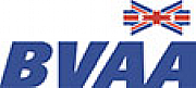 BIS Valves Ltd logo