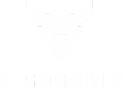 Bison Grid Ltd logo