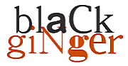 Black Ginger Ltd logo