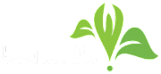 Black Iris Exhibitions Ltd logo