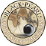 Black Pearl Maritime Security Management Ltd logo