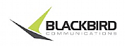 Blackbird Communications logo