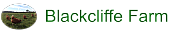 Blackcliffe Ltd logo