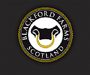 Blackford Ltd logo