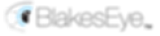 BLAKESEYE Ltd logo