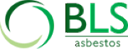 BLS Group logo