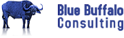 Blue Buffalo Consulting Ltd logo