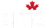 Blue Flyers Ltd logo