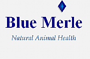 Blue Merle logo