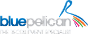 Blue Pelican IT logo
