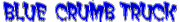 Blue Shirt Ltd logo